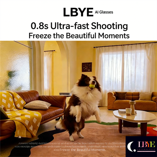 AI Smart Glasses
