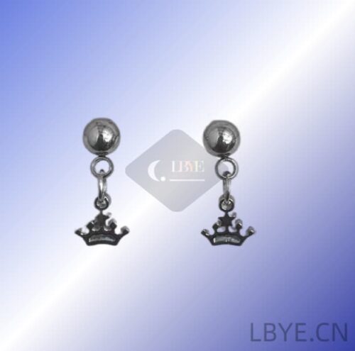 10 LBYE Hypoallergenic Medical Titanium Steel Earrings crown-shaped titanium steel earringsas picture shows 12pcs