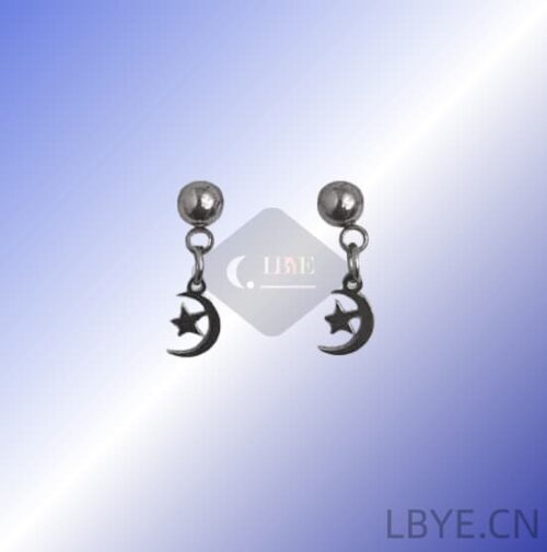 LBYE Hypoallergenic Medical Titanium Steel Earrings moon and star-shaped titanium steel earrings as picture shows 12pcs