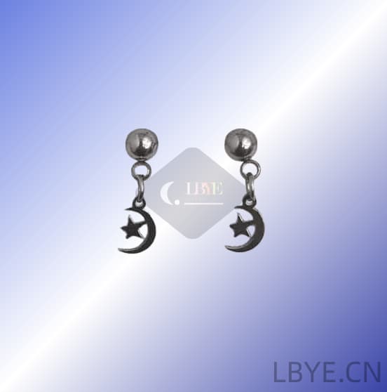 2 LBYE Hypoallergenic Medical Titanium Steel Earrings moon and star-shaped titanium steel earrings as picture shows 12pcs