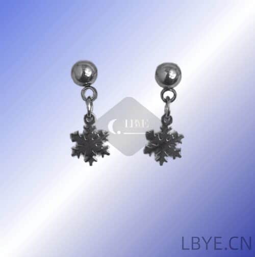 LBYE jew 15 (5) LBYE Hypoallergenic Medical Titanium Steel Earrings as picture shows snow 12pcs
