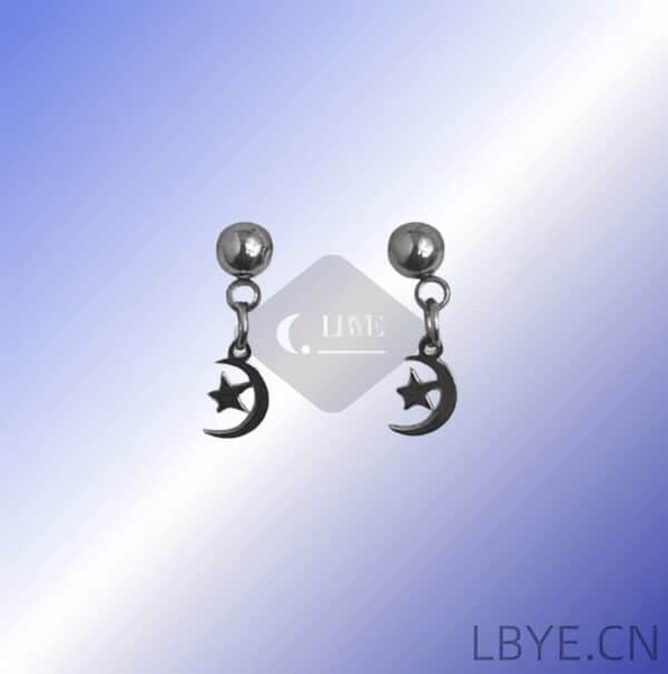 LBYE Hypoallergenic Medical Titanium Steel Earrings moon and star-shaped titanium steel earrings as picture shows 12pcs