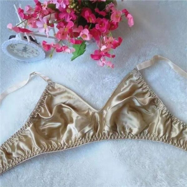 LBYE 100% Mulberry Silk Bra for Women
